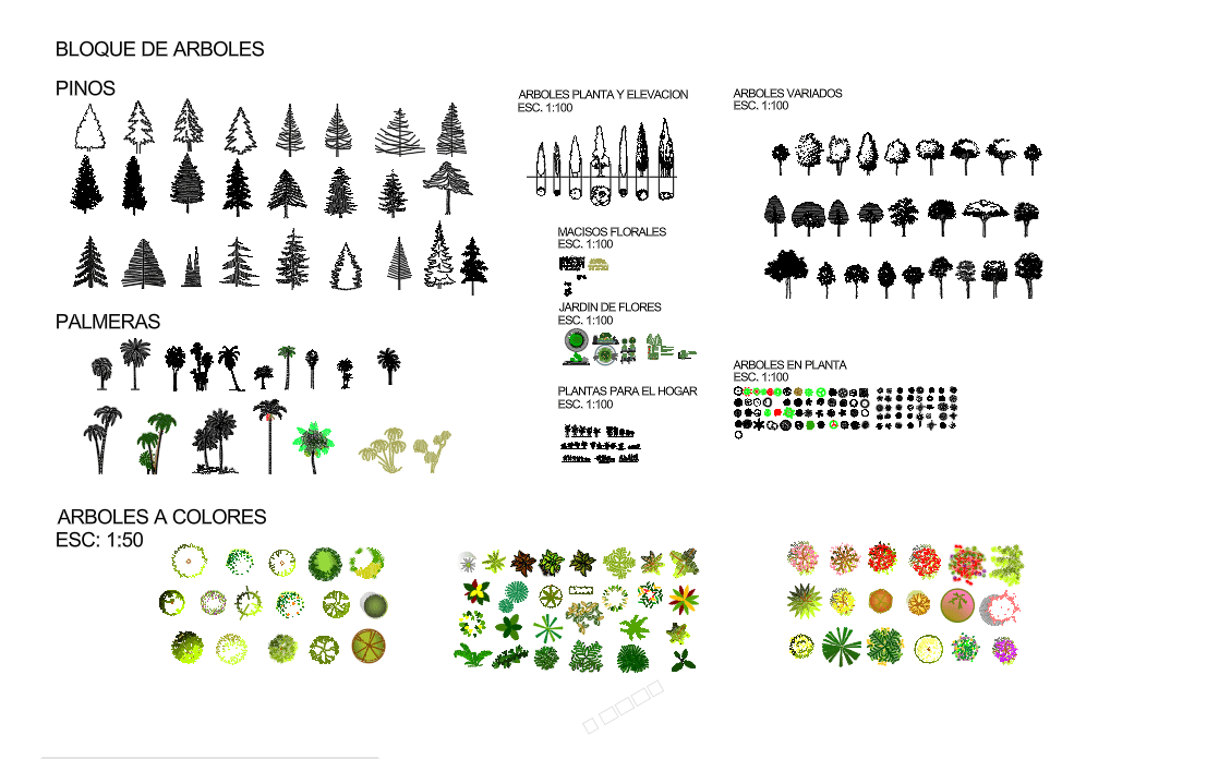 Plants
