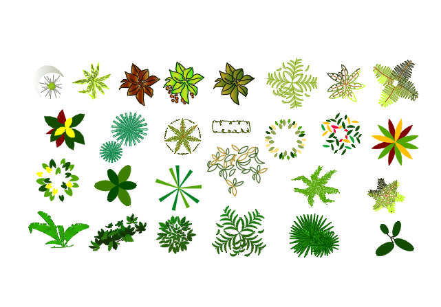 Plants