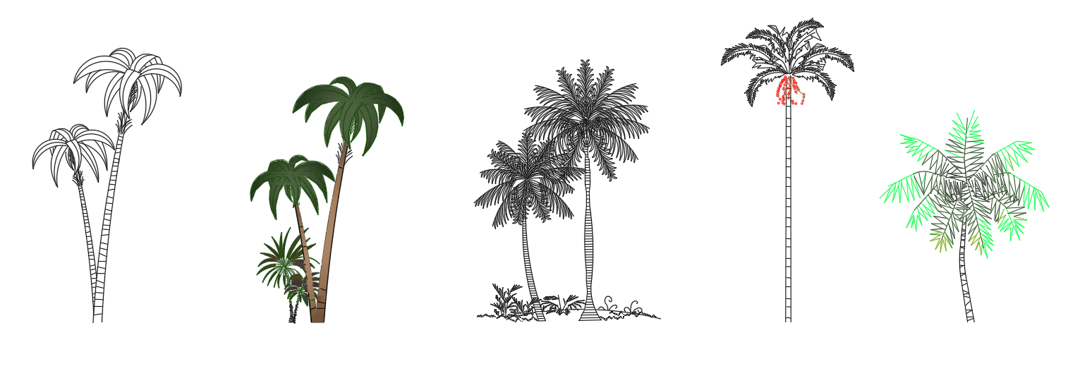 Plants