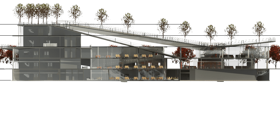 Modern Library with Green Roof — Revit Model