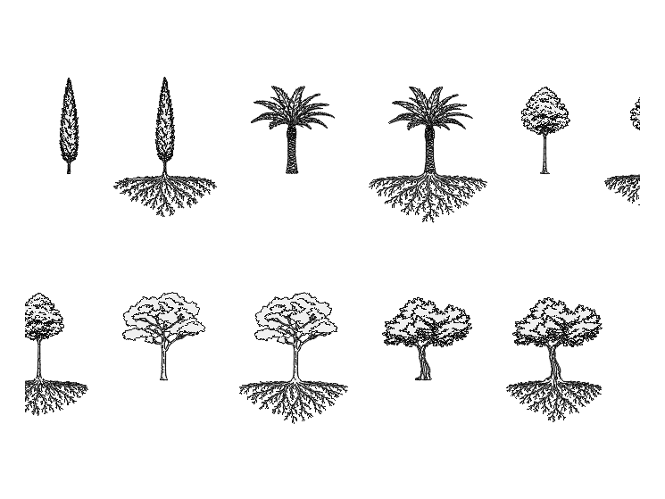 Trees in Elevation — AutoCAD Blocks