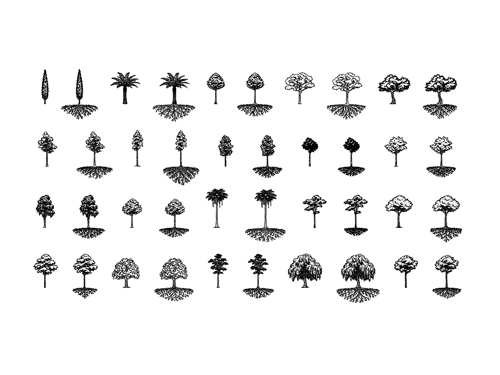 Trees in Elevation — AutoCAD Blocks